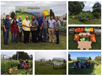 Collage of volunteers at the gardens