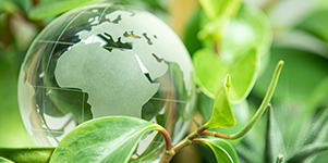 Glass globe in plant leave