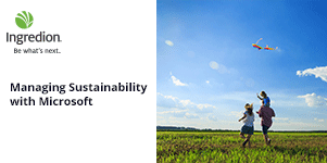 Family flying a kite in an open field